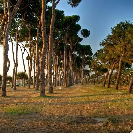 Apartment Venere 2 - Pineto
